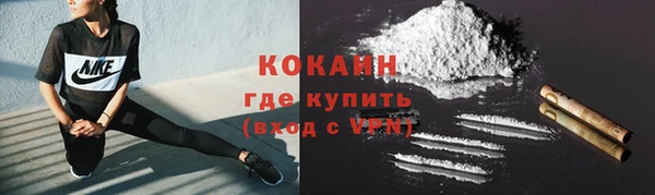 apvp Белокуриха