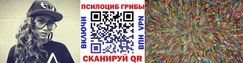 цена наркотик  darknet официальный сайт  Псилоцибиновые грибы Psilocybe  Богородицк  МЕГА ТОР 